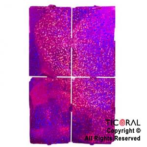 CORTINA DE CUADROS METALIZADA HOLOGRAFICA VIOLETA LASER 2 MT X 1MT x 1